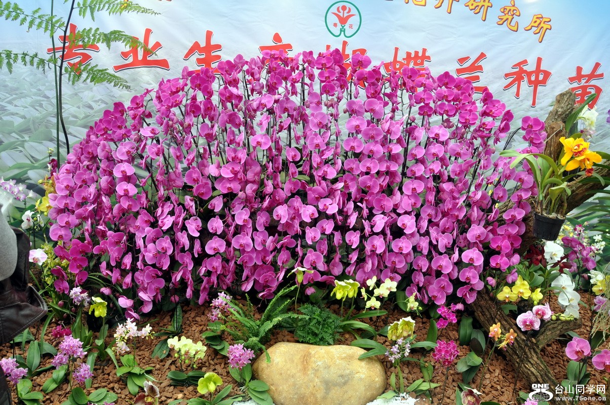 DSC_0030_exposure_С.JPG