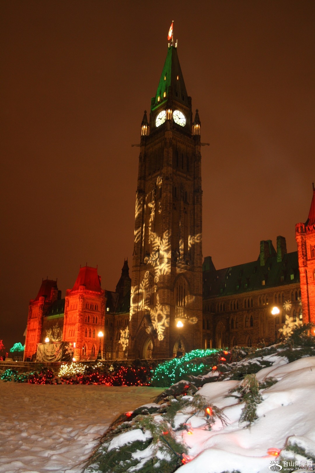 Picture 287 (Large).jpg