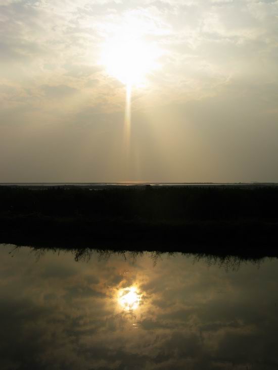IMG_4952.JPG