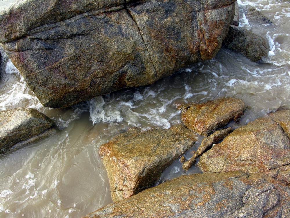 IMG_4877.JPG