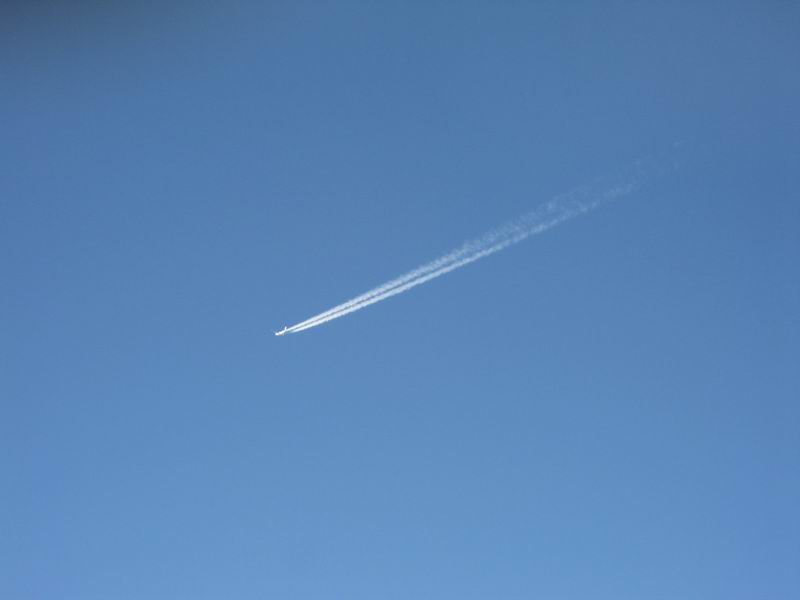IMG_1271.JPG