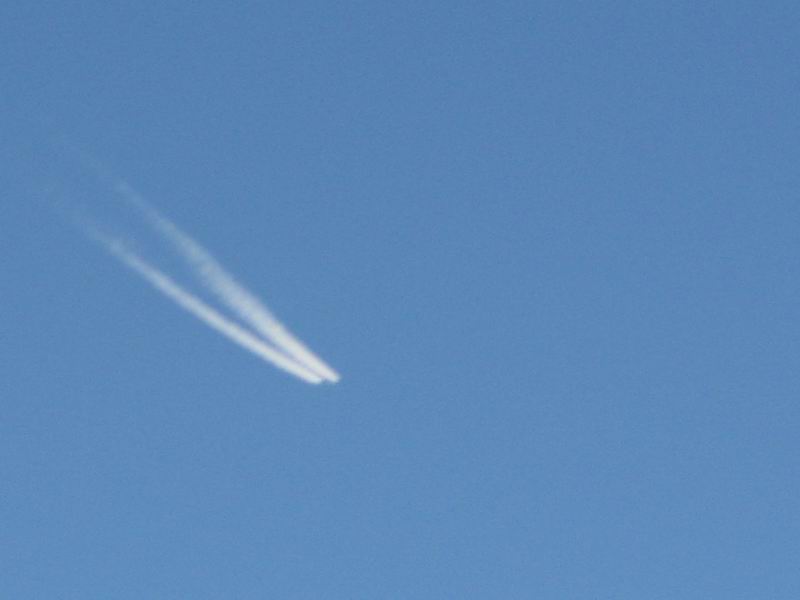 IMG_1273.JPG