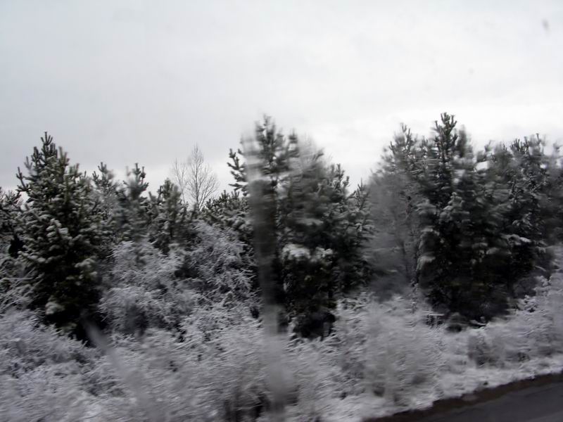 IMG_2757.JPG