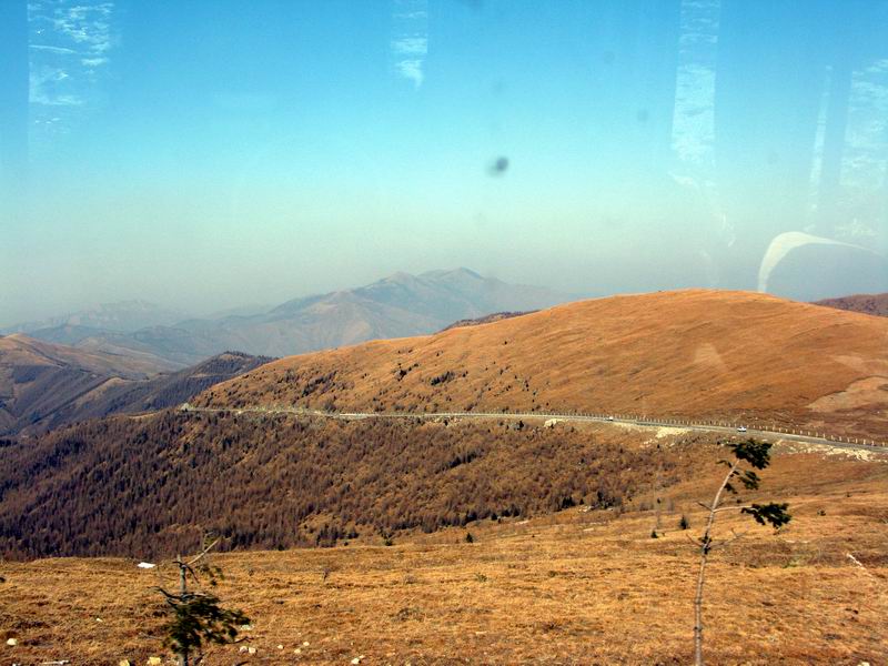 IMG_2552.JPG