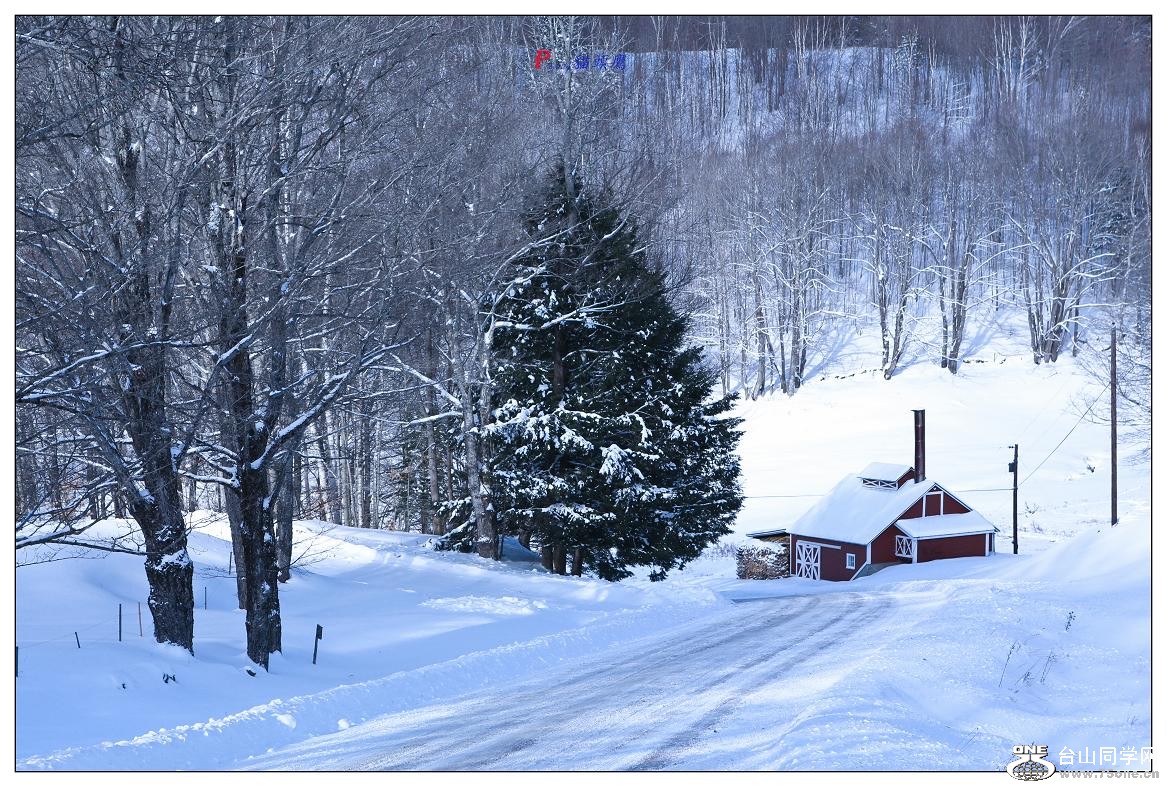 �}�u -����ѩ�ؾ�ɫ-c.jpg