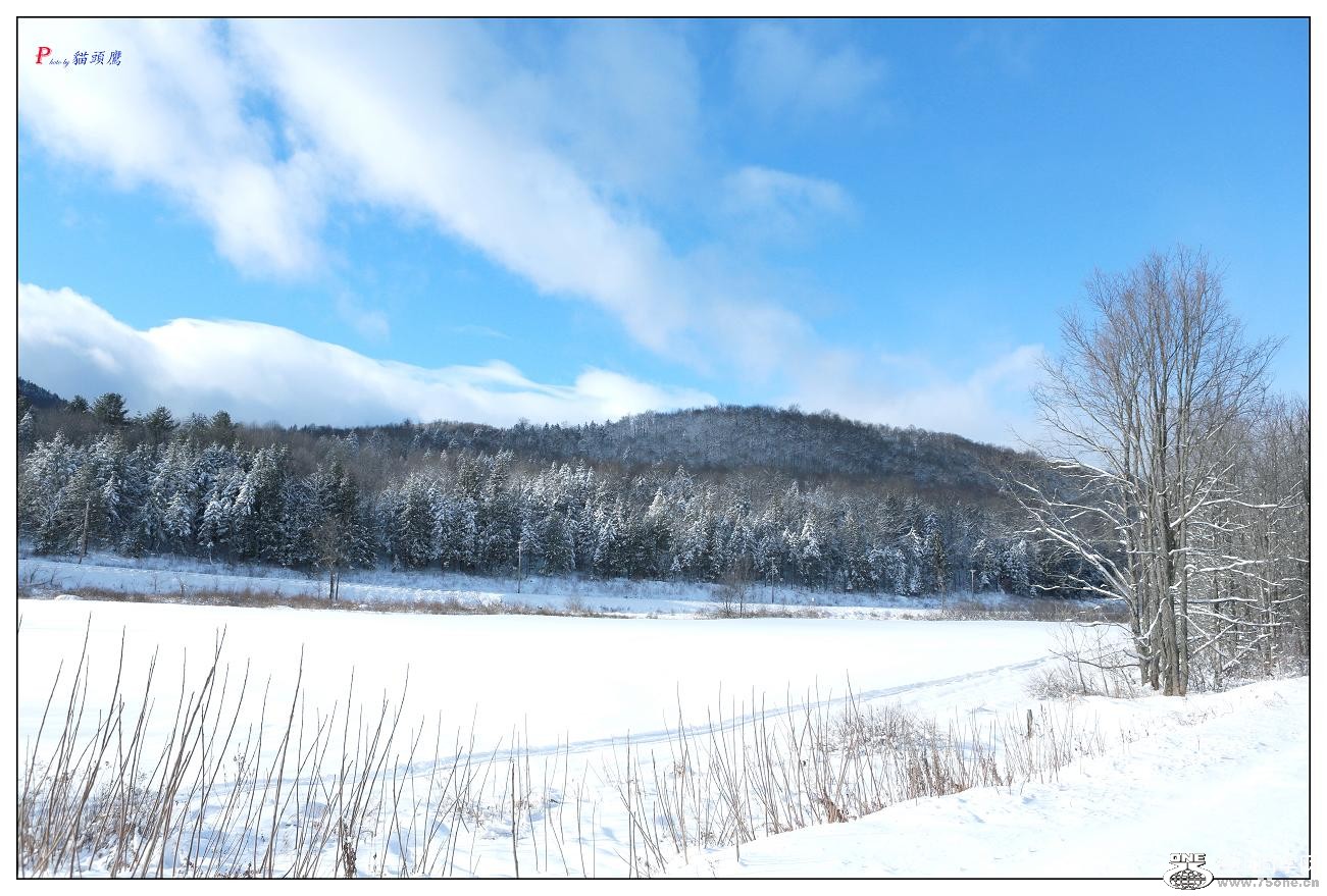 �}�u -����ѩ�� 295-1.jpg