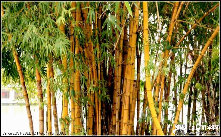 ������С IMG_8341.JPG