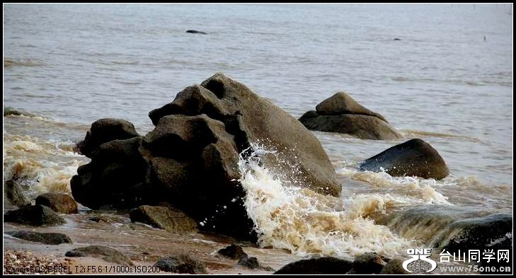 ������С IMG_8602.JPG