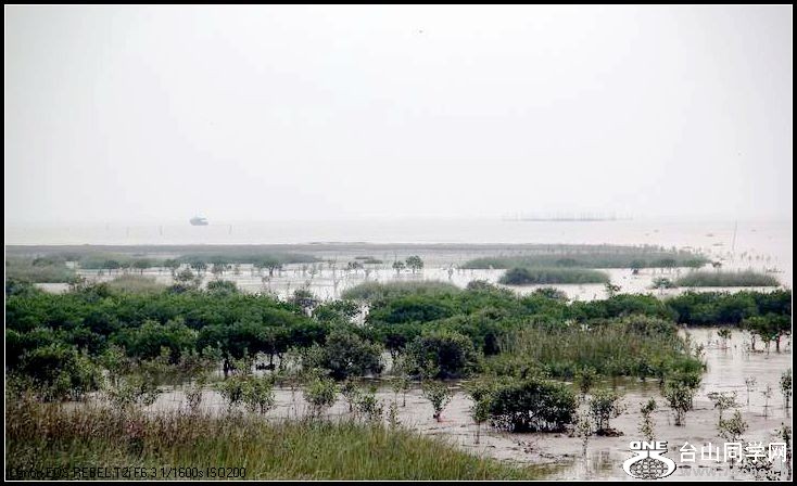 ������С IMG_8562.JPG