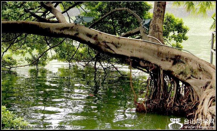 ������С IMG_8325.JPG