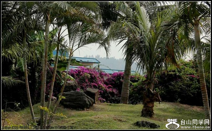 ������С IMG_8504.JPG