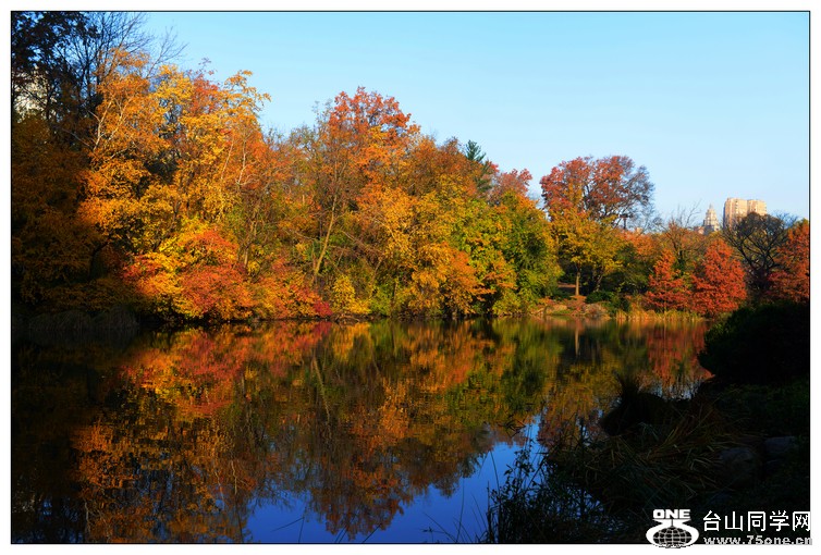 DSC_0781.jpg