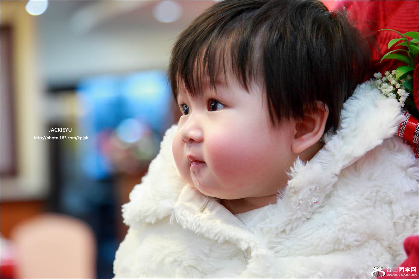 IMG_2516 ����.jpg