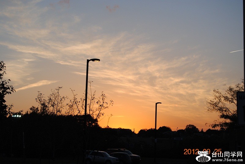 DSC_8255.JPG