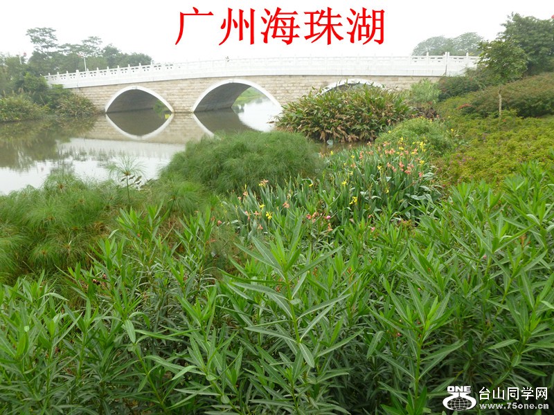 Ƭ 014_.jpg
