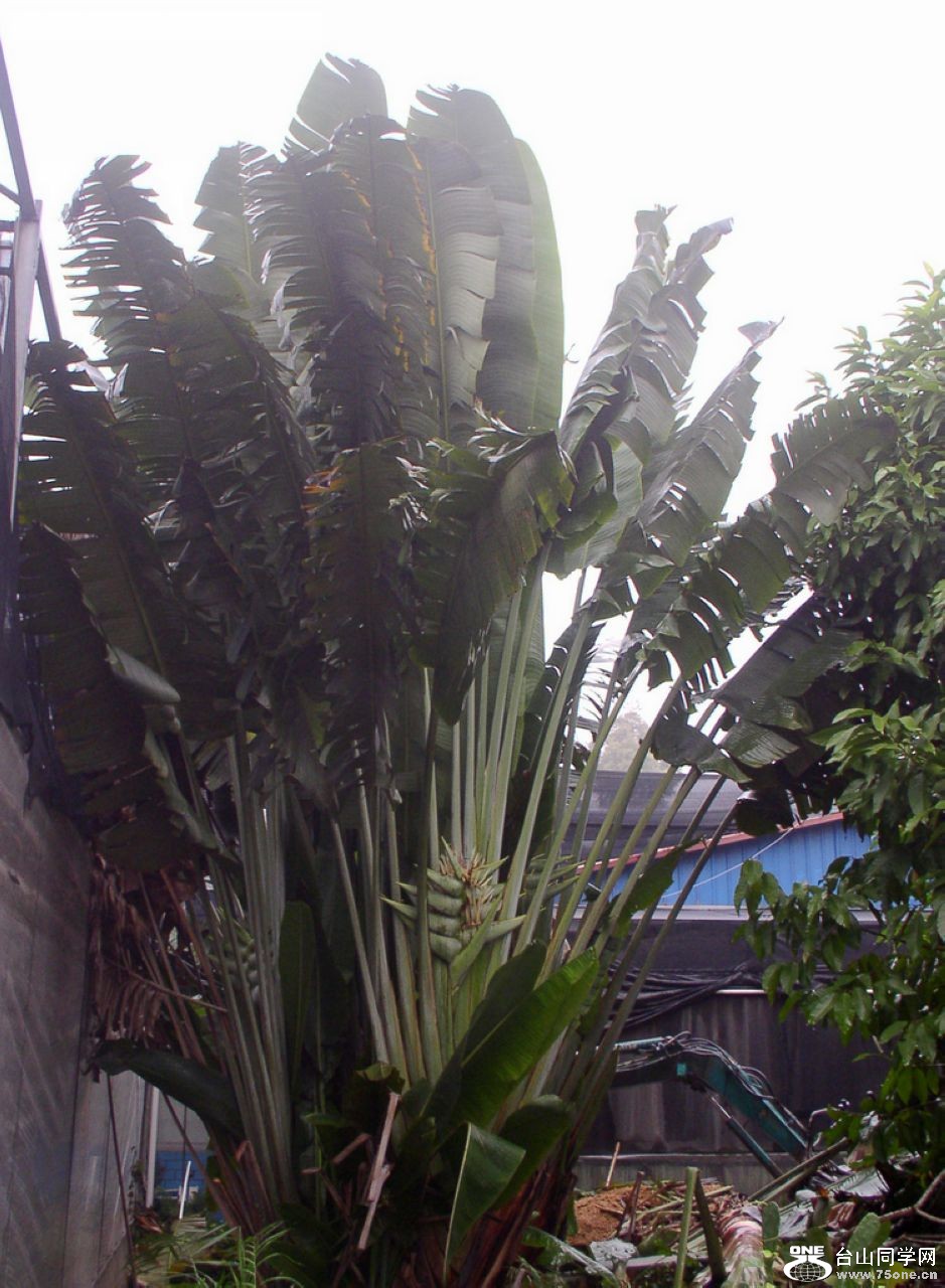P1010002.JPG