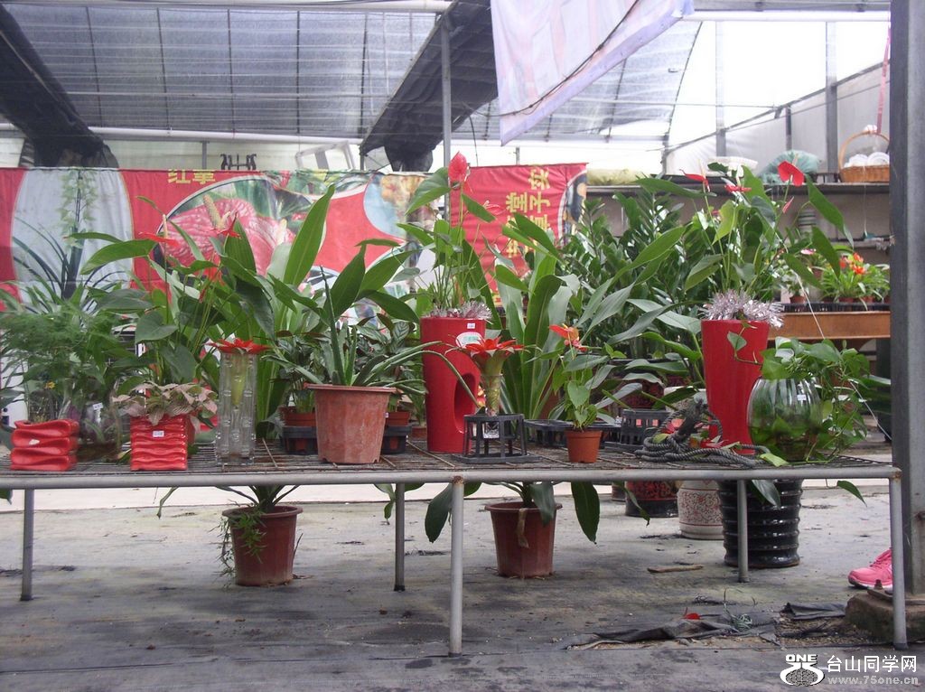 P1010004.JPG