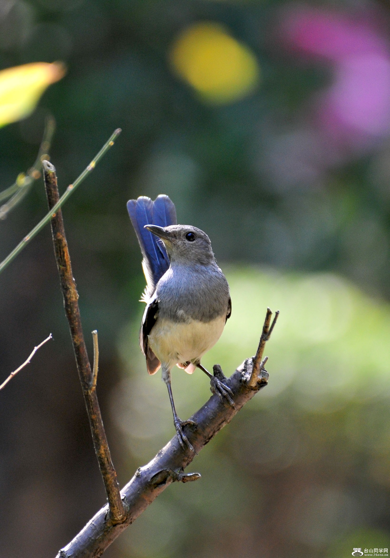 DSC_8569.jpg