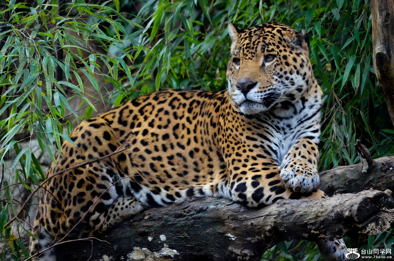 DSC_0119-2.jpg