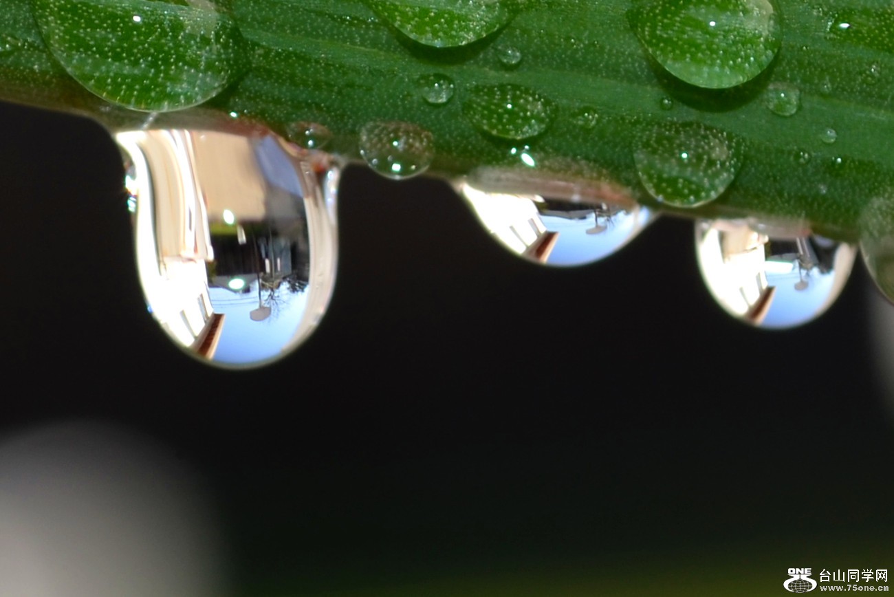 DSC_2873_11.jpg