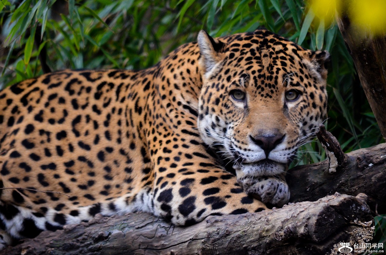 DSC_0146-6.jpg