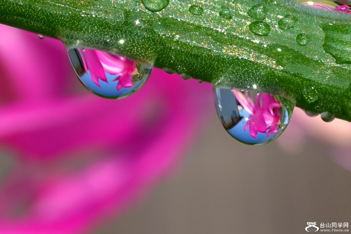 DSC_2330_06.jpg