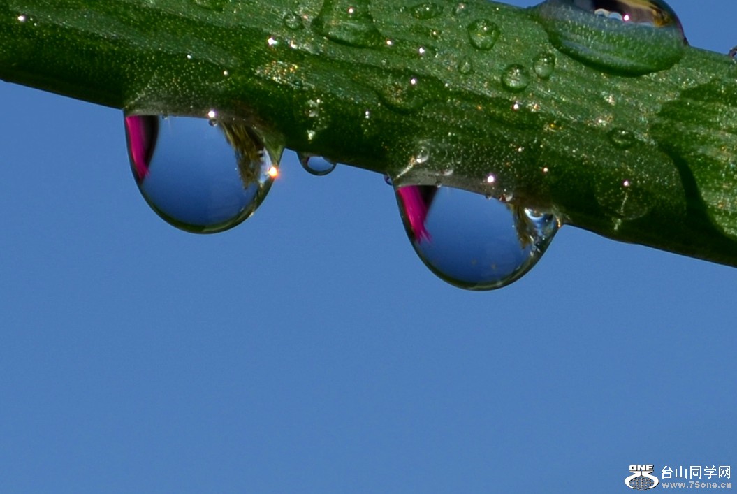 DSC_2322_66.jpg