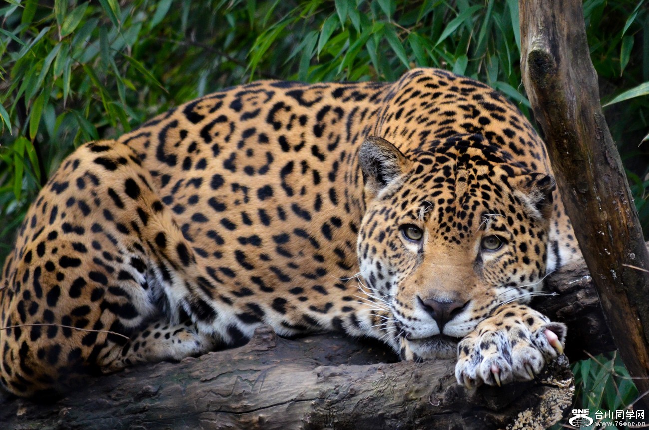 DSC_0188_7.jpg