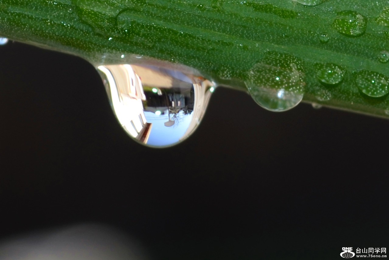 DSC_2783_24.jpg