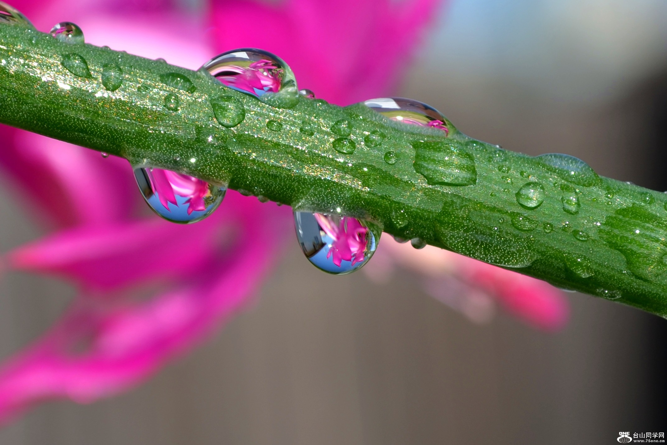DSC_2330_77.jpg