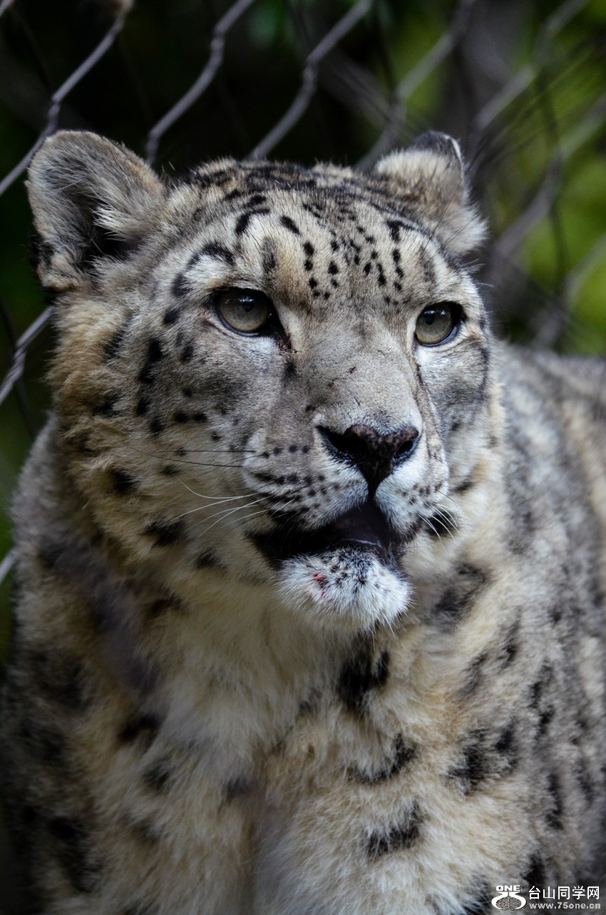 DSC_0430_22.jpg