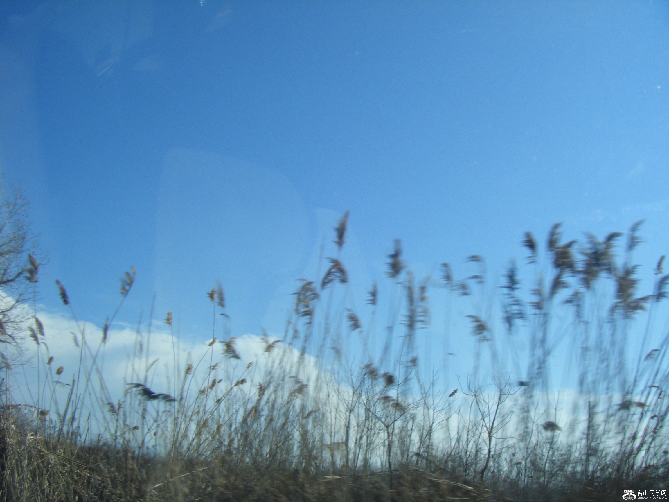 һ[(2012-3-3) 167.JPG