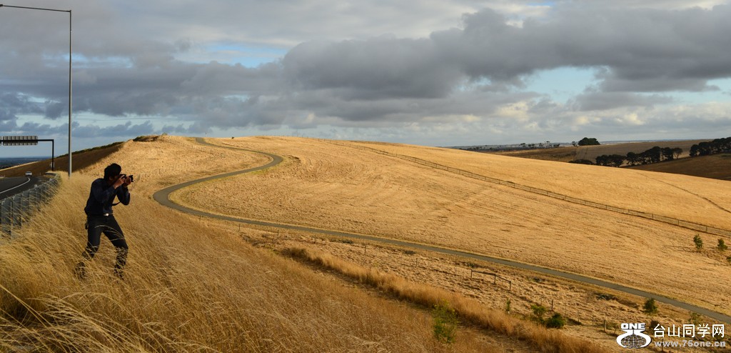 DSC_9541.jpg