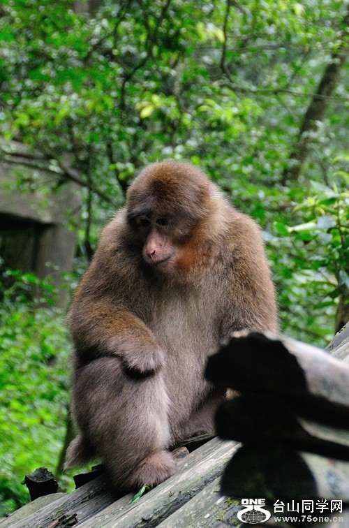 DSC_2399.jpg