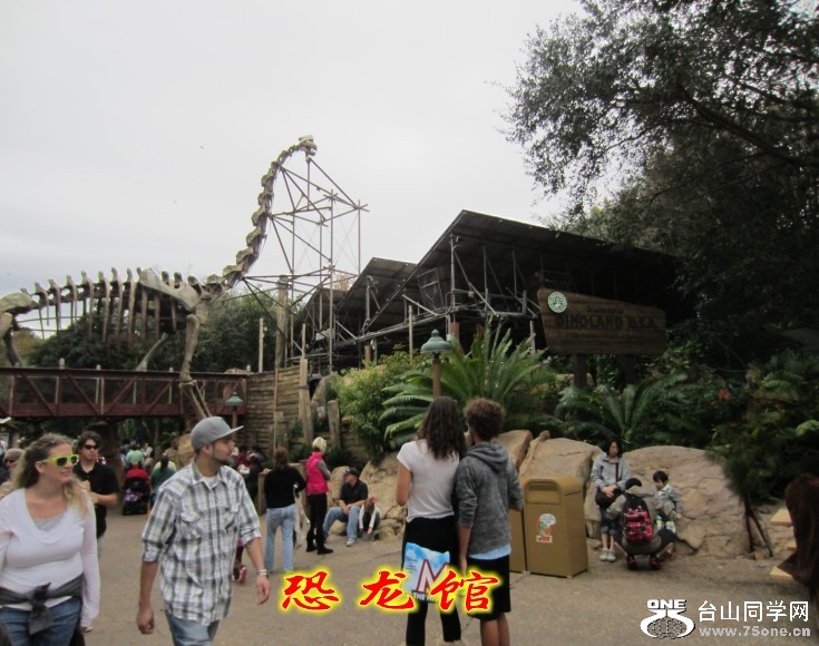 conew_img_4148_conew1.jpg