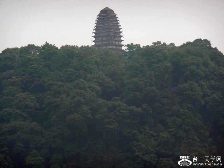 p1010204_.jpg