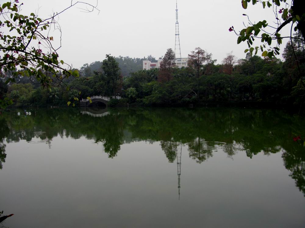 IMG_5871.JPG