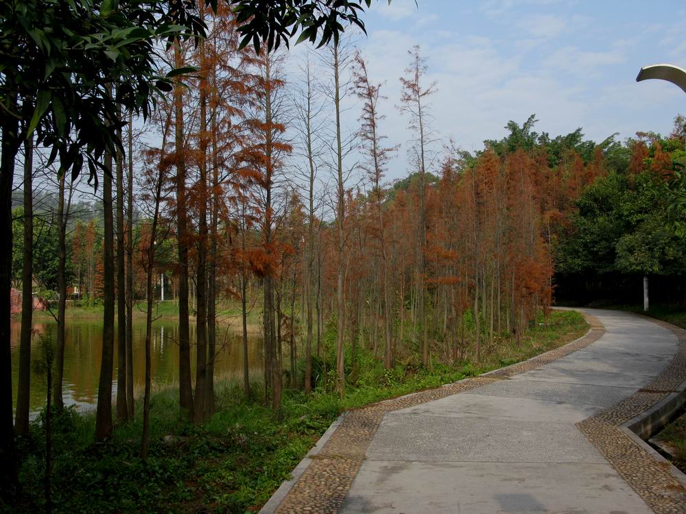 IMG_5832.JPG