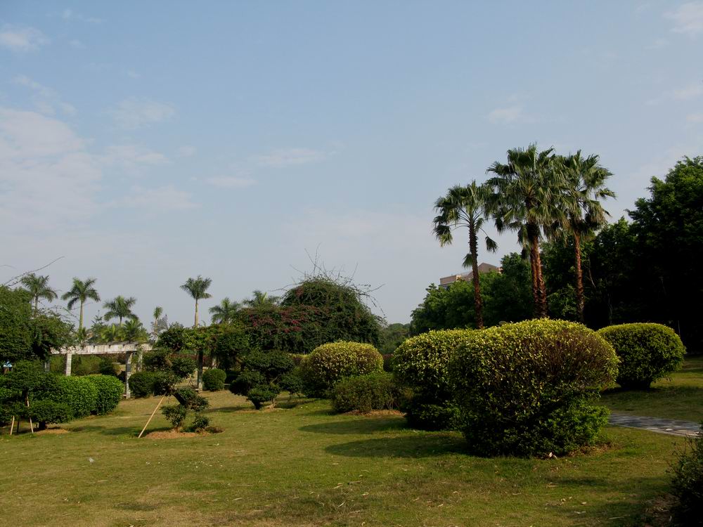 IMG_5849.JPG