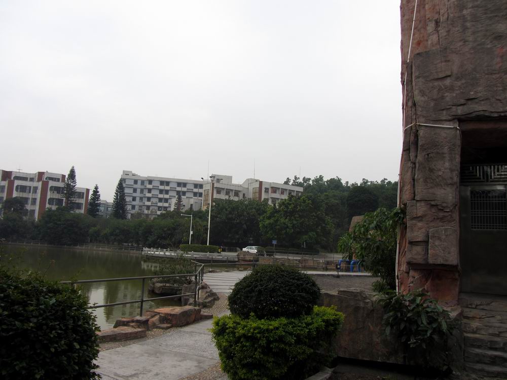 IMG_3017.JPG