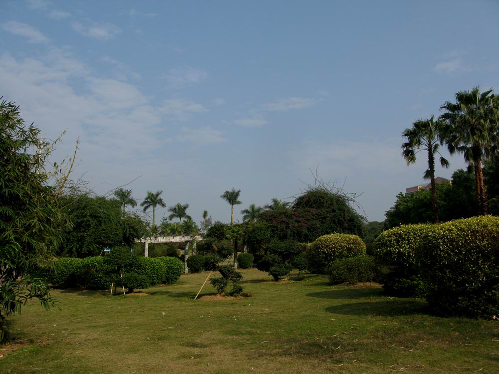 IMG_5848.JPG