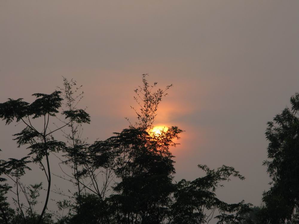 IMG_3629.JPG