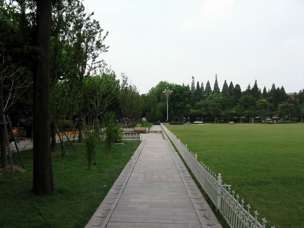 IMG_3351.JPG