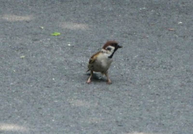 IMG_3456.JPG
