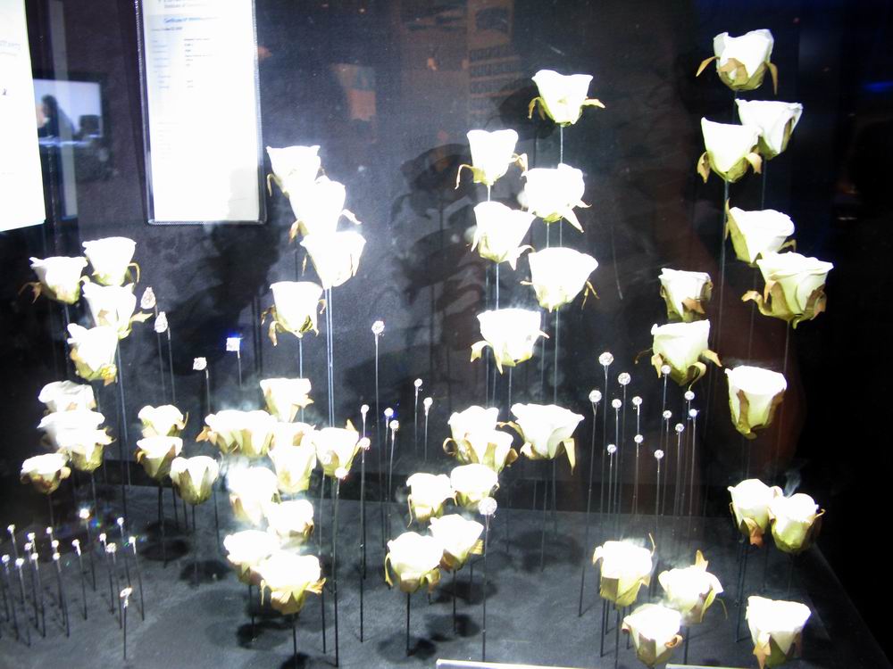 IMG_3333.JPG