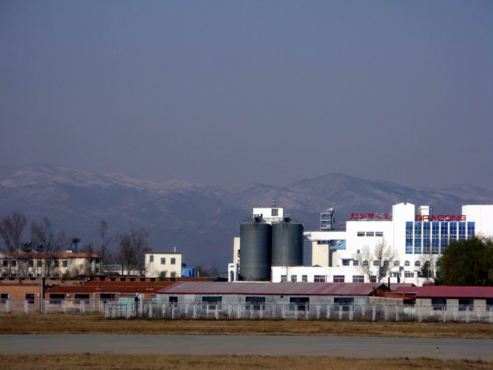 IMG_3300.JPG