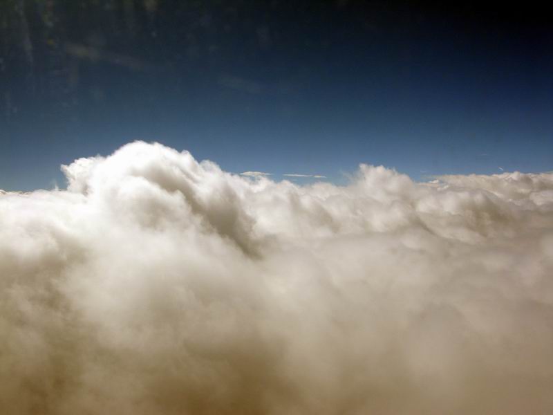 IMG_3445.JPG
