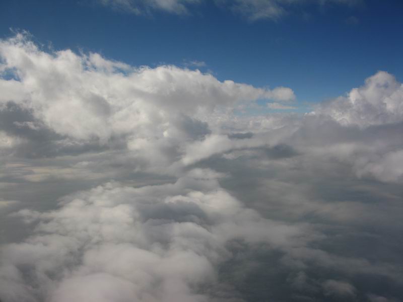 IMG_3463.JPG