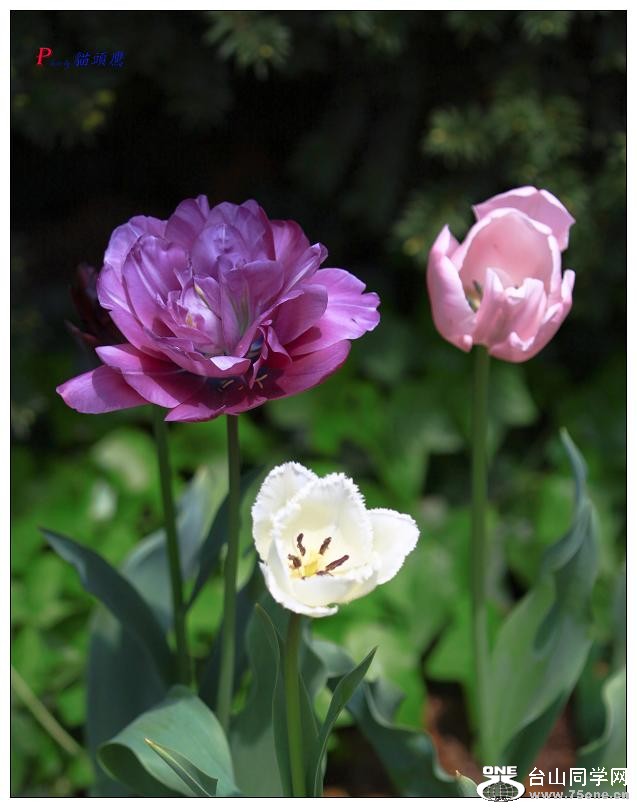 �}�u -34-195-1.jpg