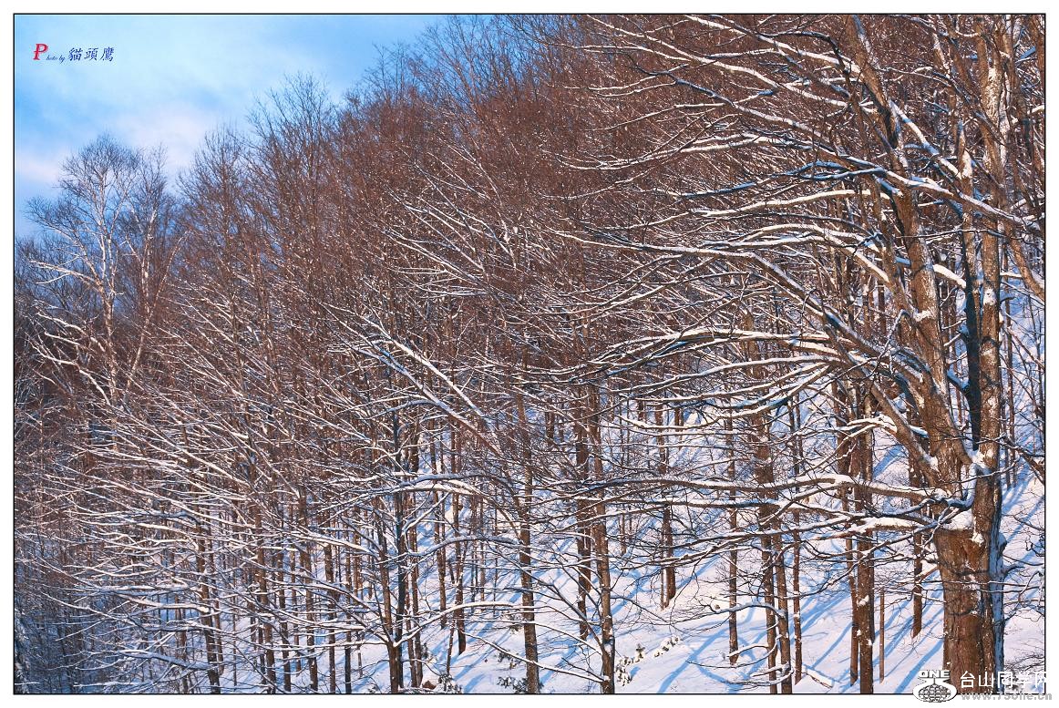 �}�u -2-186-1.jpg